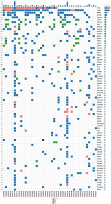 Circulating Tumor DNA Is Capable of Monitoring the Therapeutic Response and Resistance in Advanced Colorectal Cancer Patients Undergoing Combined Target and Chemotherapy